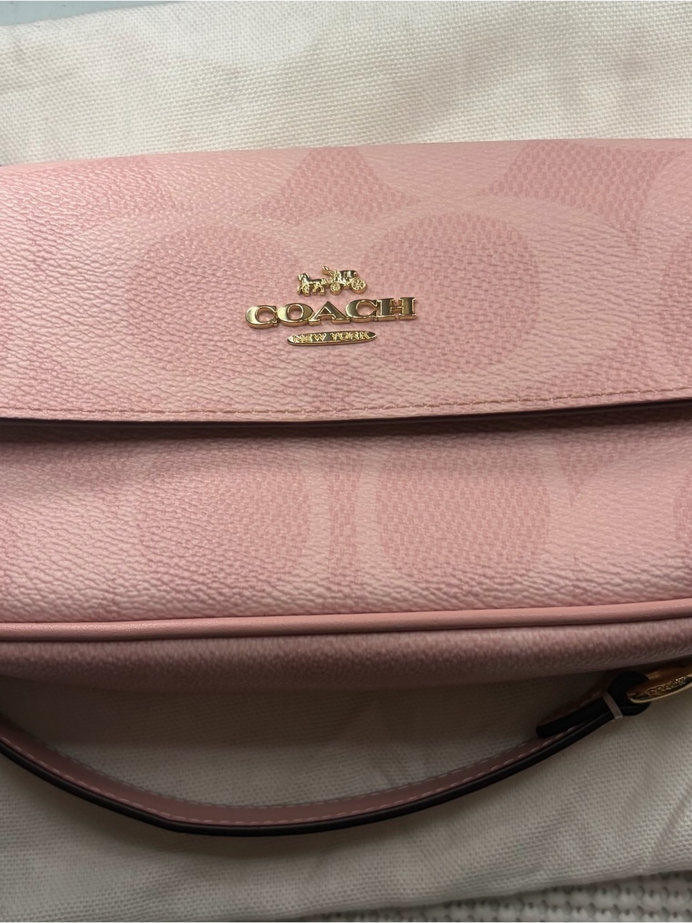 Coach powder pink Hailey bag